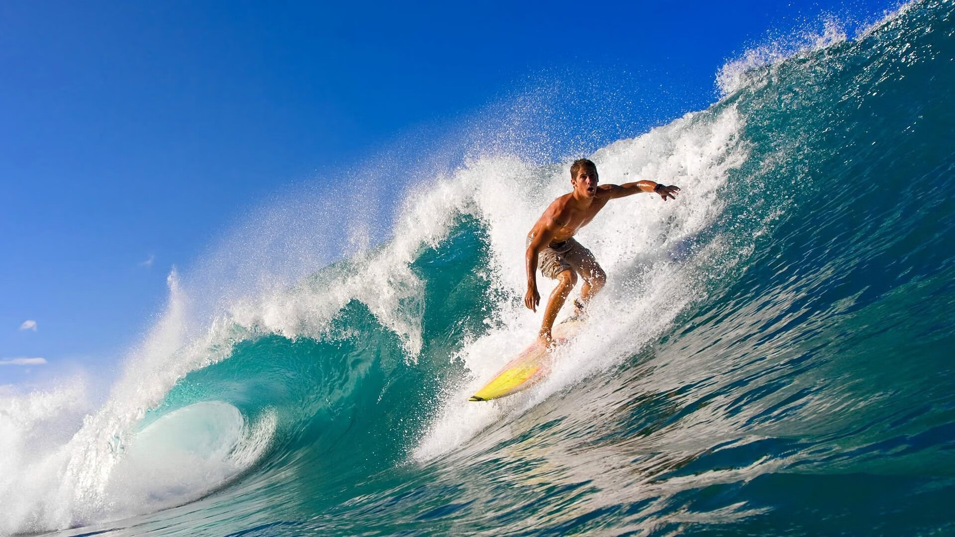 九游官网-体育文化交流活动增强民族团结，民族体育活动策划主题